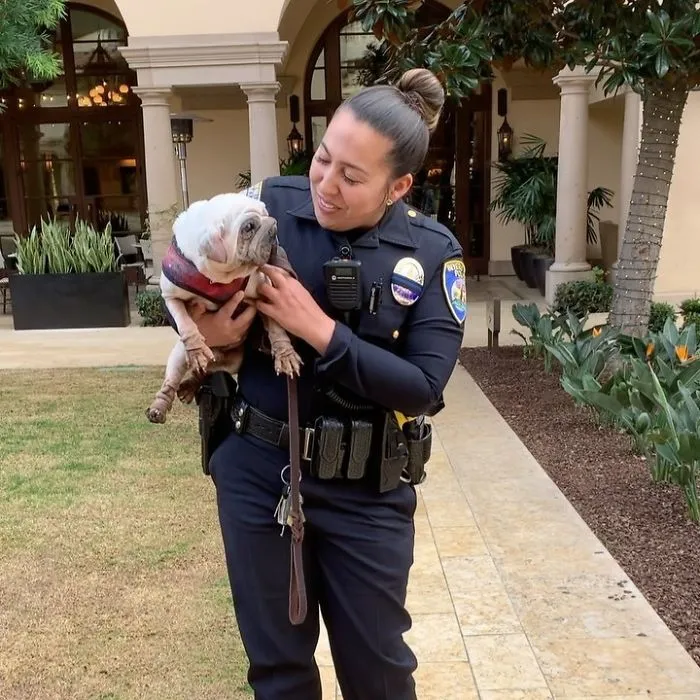 Meet Mork, A Puppy That Was Saved From A Slaughterhouse And Looks Like Baby Yoda