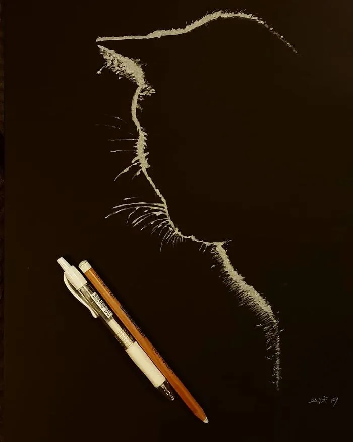 Artist Draws Beautiful Portraits Of Women And They Look Like They're Cast In Light (19 Pics)