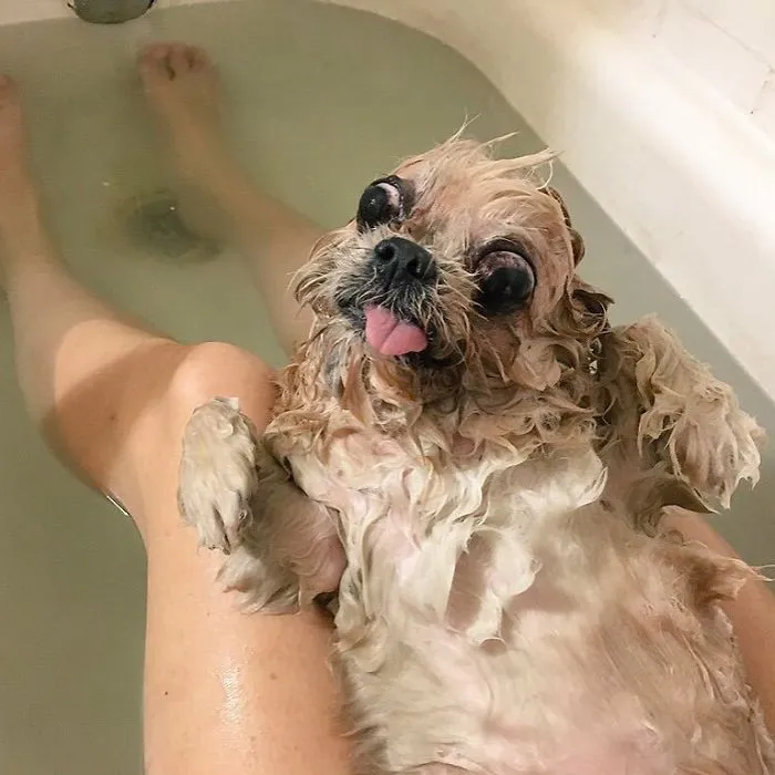 Meet Marnie, An 18 Y.O. Instagram Dog-Star With Almost 2 Million Followers And Friends Like Taylor Swift And Demi Lovato