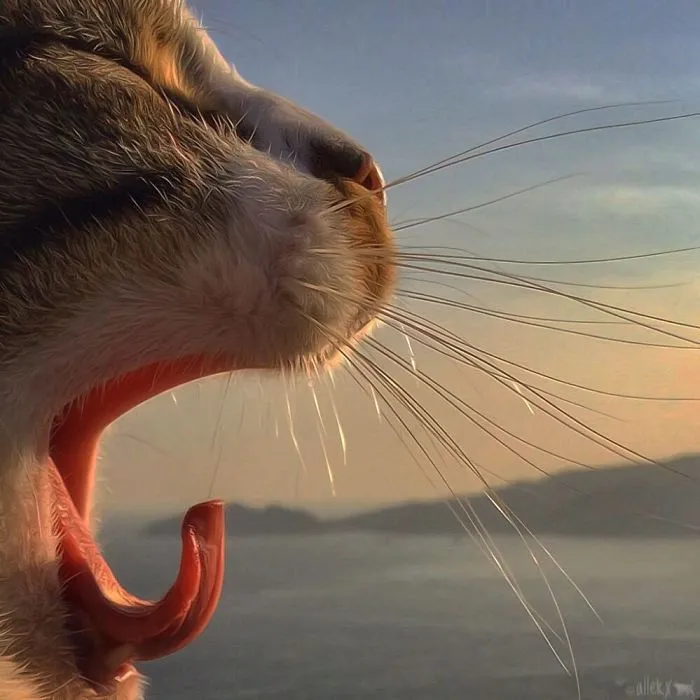 Esta italiana documenta la vida despreocupada que lleva su gato, y la verdad es que da envidia (36 fotos)
