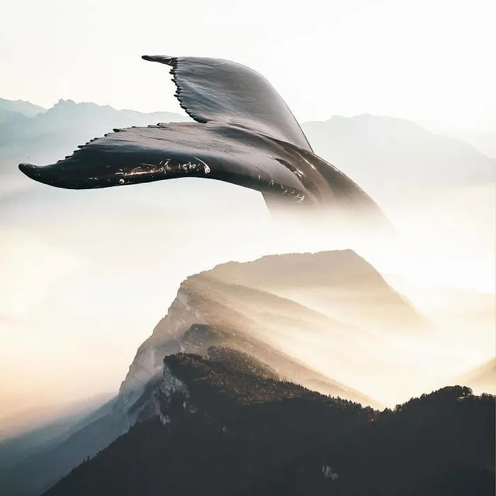 Whale In Fog