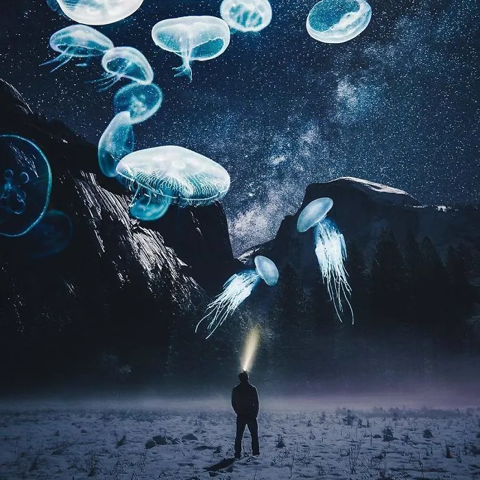 Jellyfishes