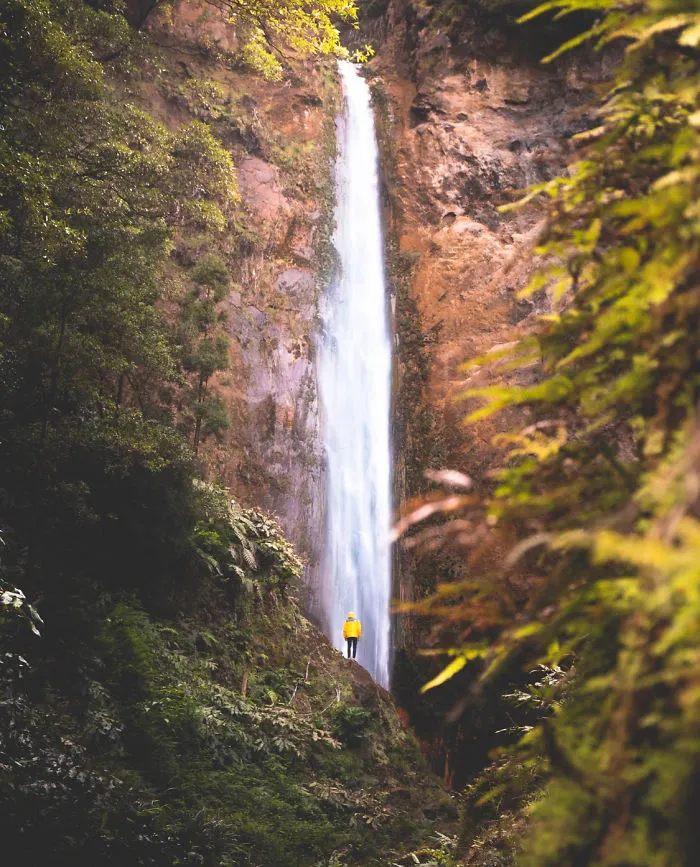 Being One With Nature