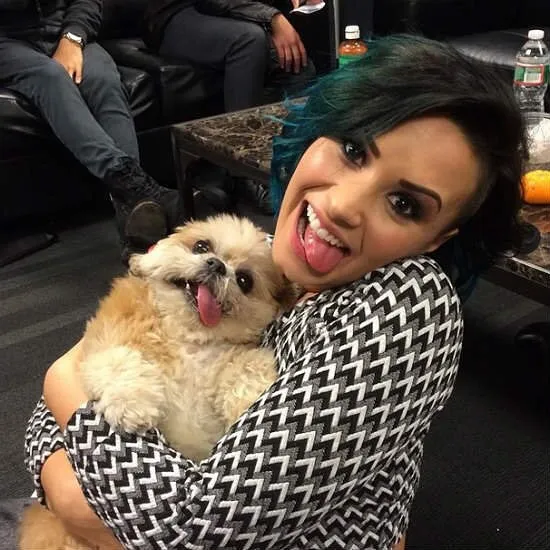 Meet Marnie, An 18 Y.O. Instagram Dog-Star With Almost 2 Million Followers And Friends Like Taylor Swift And Demi Lovato