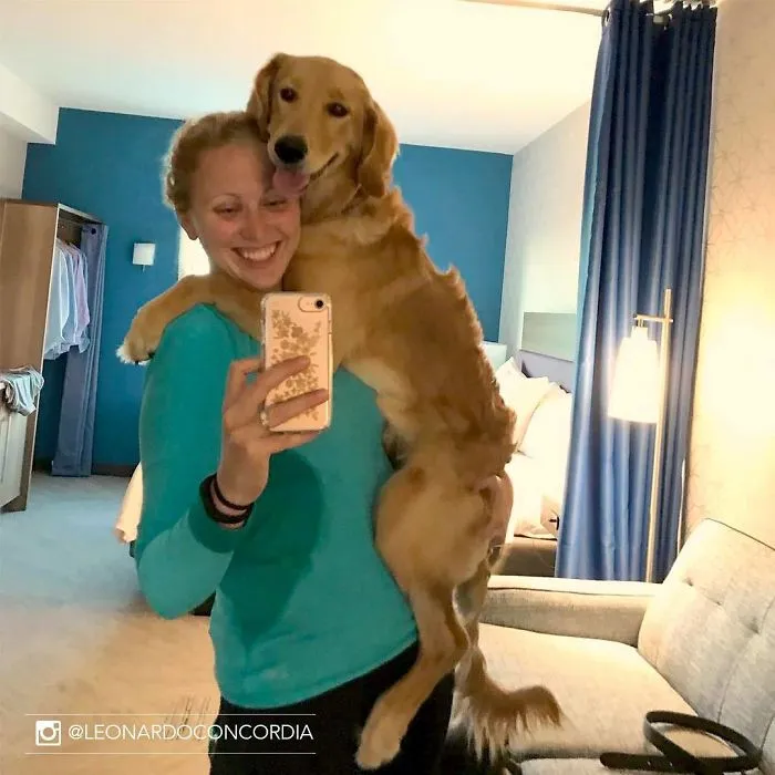 This Hotel Lets Guests Foster Dogs During Their Stay, And At Least 33 Of Them Have Been Adopted Afterward