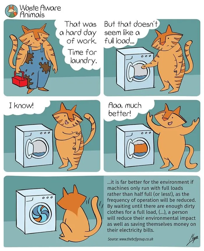 I Dream Of Living A Zero-Waste Life, Here Are The Struggles I Face (31 Comics)