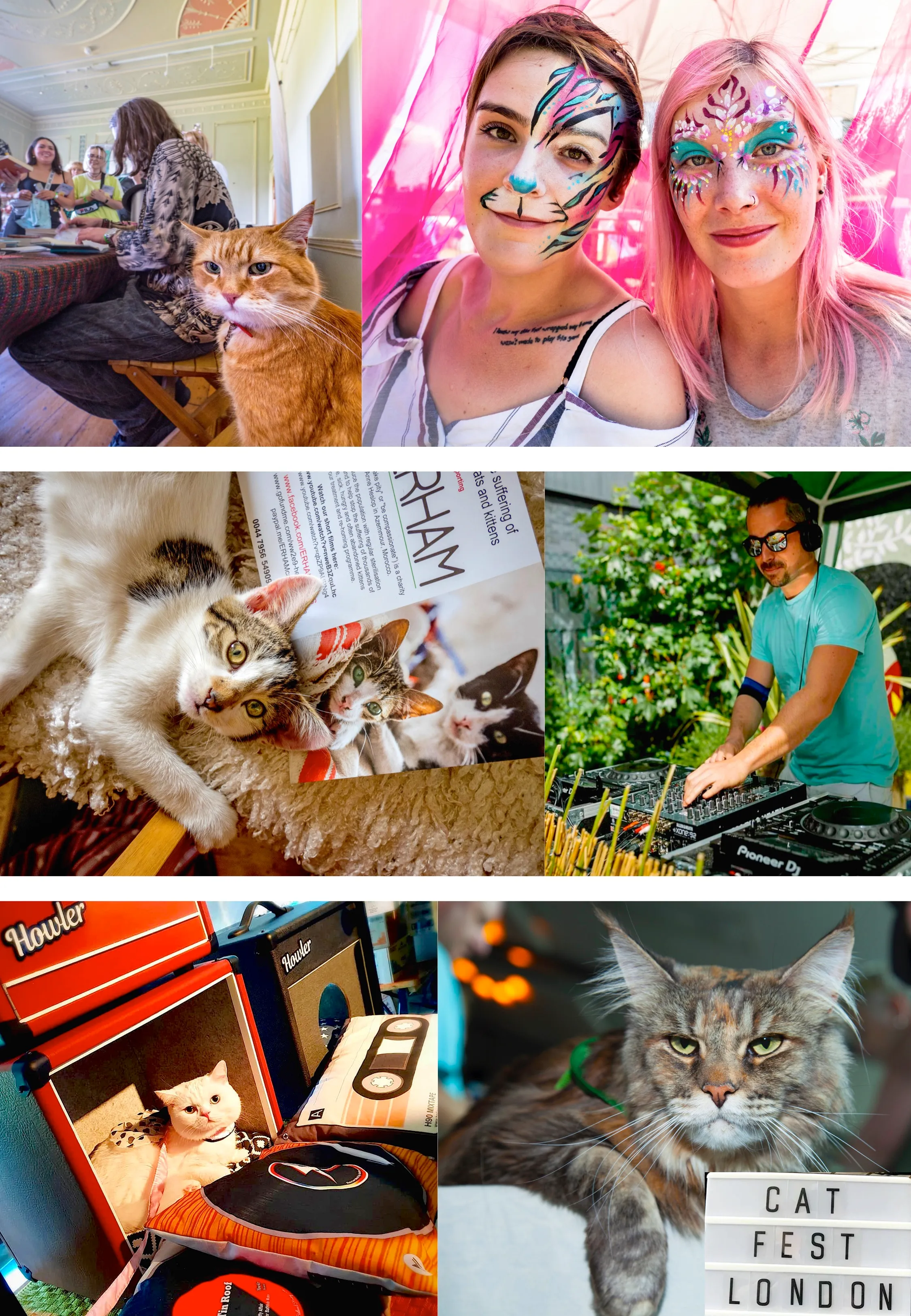 Cat Lovers’ Dream Festival Returns To London