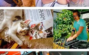 Cat Lovers’ Dream Festival Returns To London