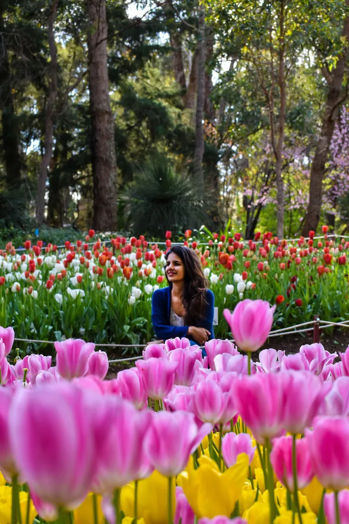 Alaruen Botanical Garden, Perth