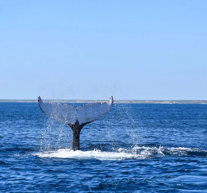 Coral Bay, Wa
