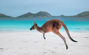 16 Amazing Places In Western Australia
