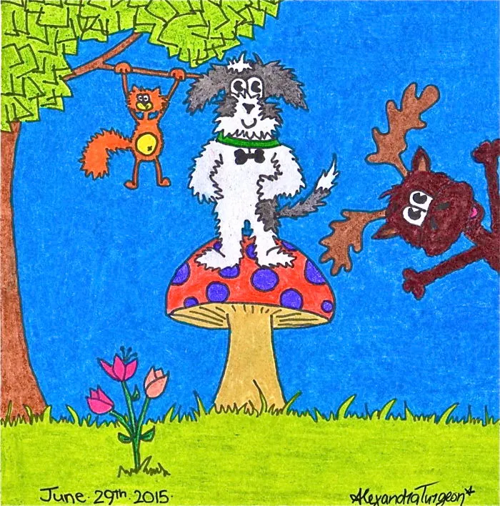 Forest Adventures