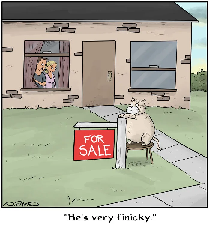 35 Comics That Cat Owners Will Relate To, Inspired By My Cat
