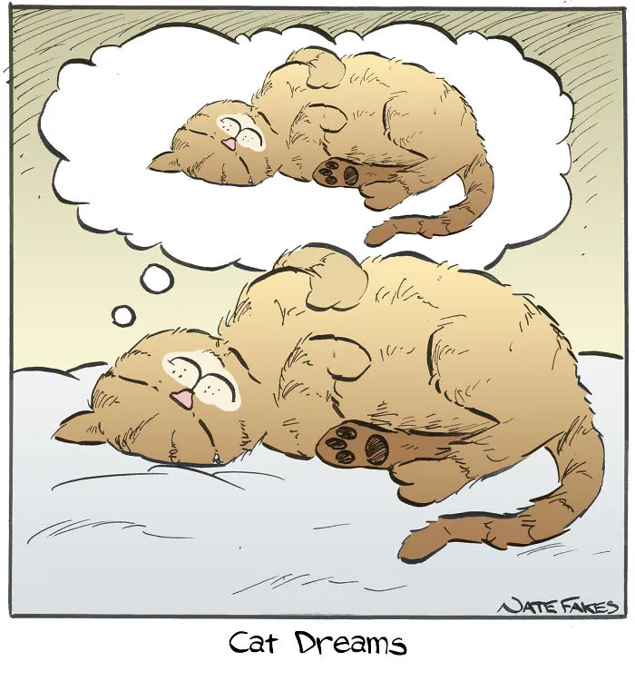 35 Comics That Cat Owners Will Relate To, Inspired By My Cat