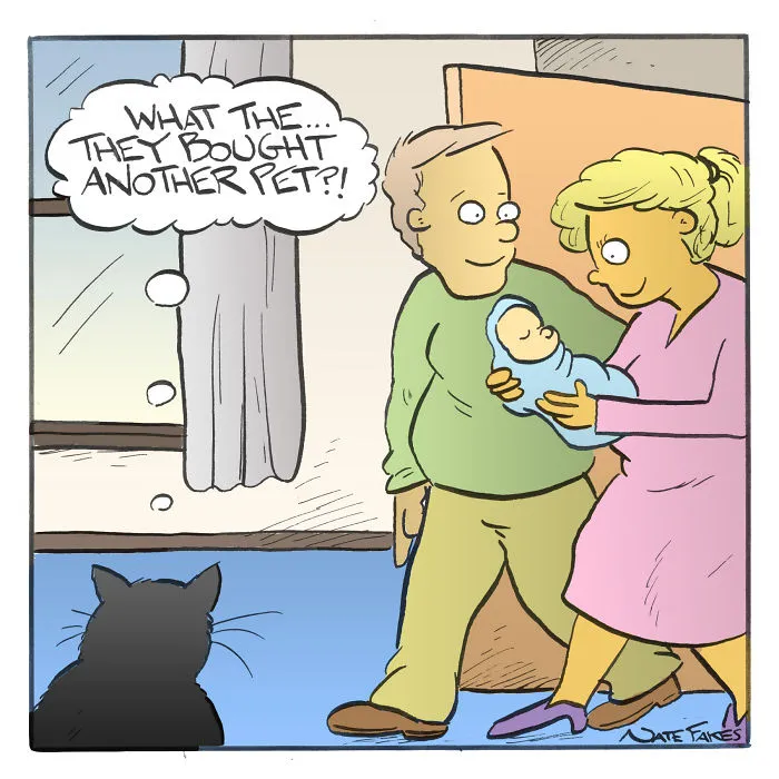 35 Comics That Cat Owners Will Relate To, Inspired By My Cat