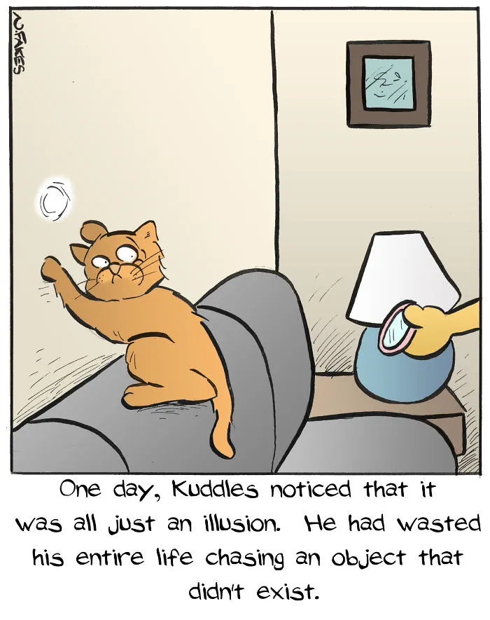 35 Comics That Cat Owners Will Relate To, Inspired By My Cat