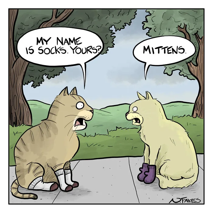 35 Comics That Cat Owners Will Relate To, Inspired By My Cat