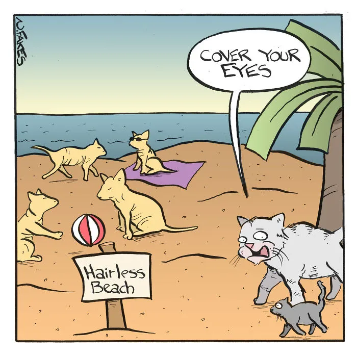 35 Comics That Cat Owners Will Relate To, Inspired By My Cat