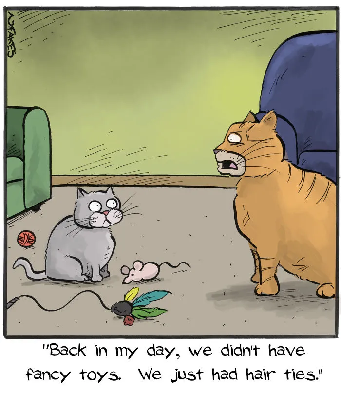35 Comics That Cat Owners Will Relate To, Inspired By My Cat