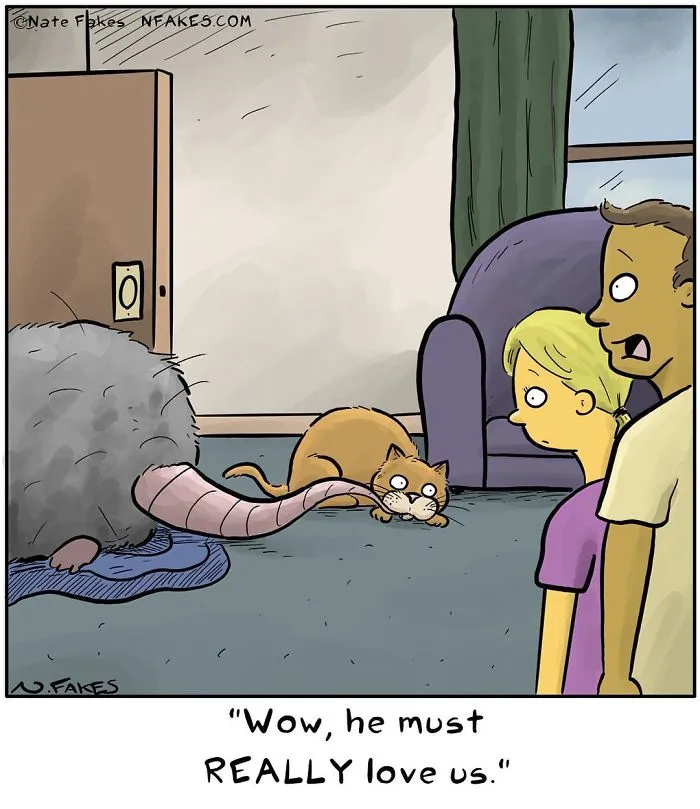 35 Comics That Cat Owners Will Relate To, Inspired By My Cat