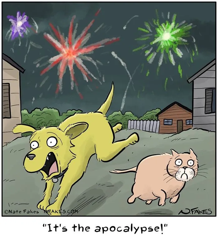 35 Comics That Cat Owners Will Relate To, Inspired By My Cat