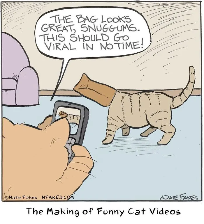35 Comics That Cat Owners Will Relate To, Inspired By My Cat