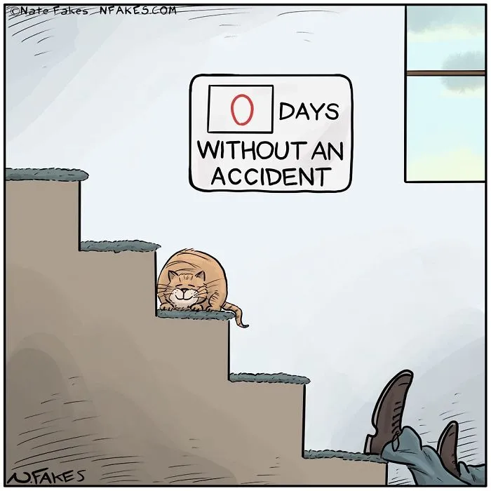 35 Comics That Cat Owners Will Relate To, Inspired By My Cat