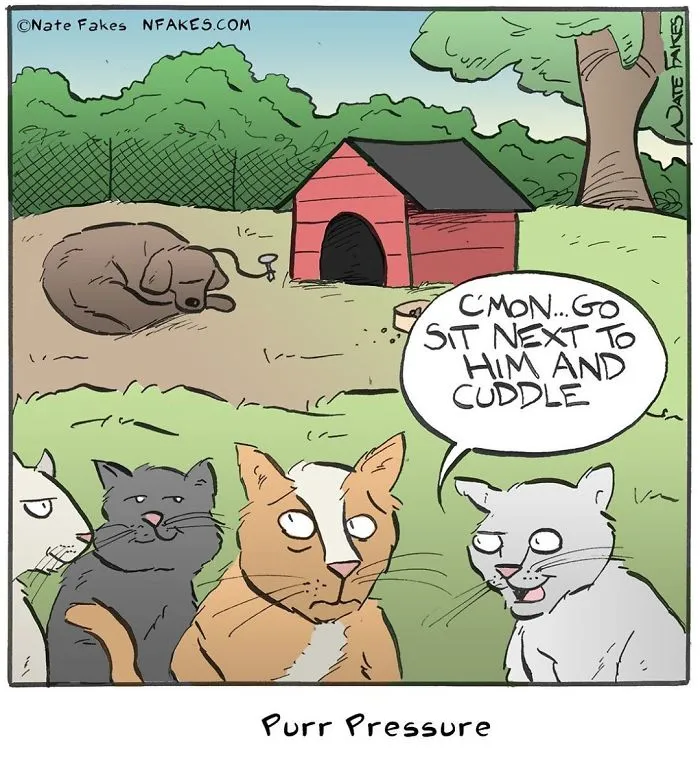 35 Comics That Cat Owners Will Relate To, Inspired By My Cat