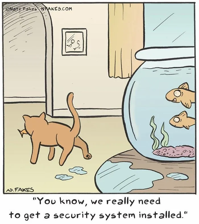 35 Comics That Cat Owners Will Relate To, Inspired By My Cat