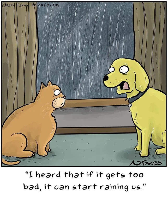 35 Comics That Cat Owners Will Relate To, Inspired By My Cat