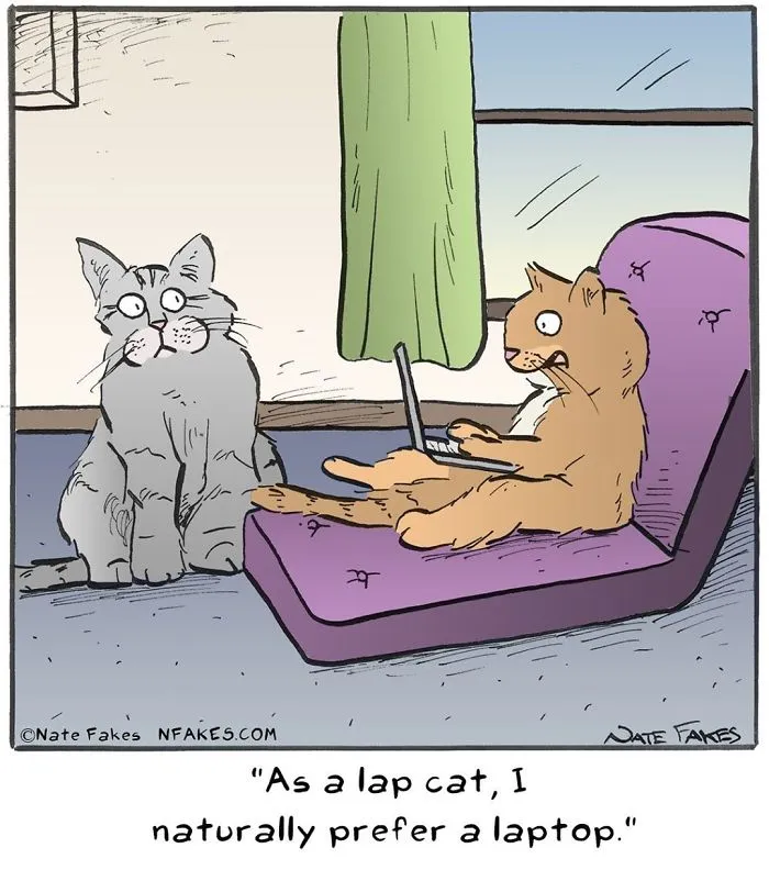 35 Comics That Cat Owners Will Relate To, Inspired By My Cat