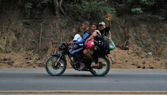 Transport Optimization, Palomino