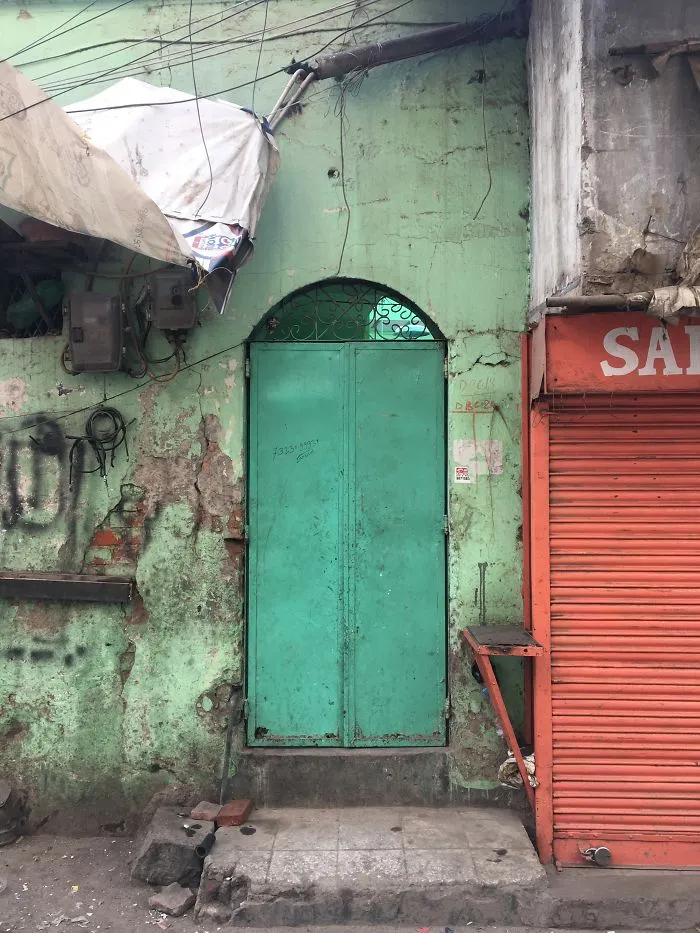 I Took Photos Of Random Doors During My Trip To India