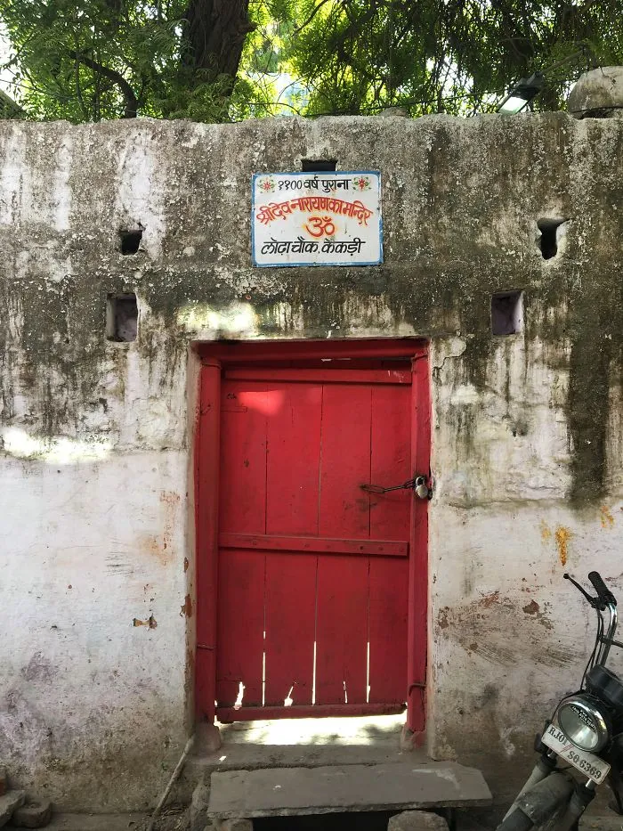 I Took Photos Of Random Doors During My Trip To India