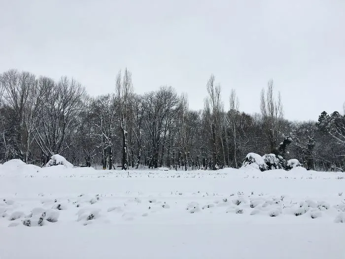 I Captured Bucharest Under Snow (30 Pics)
