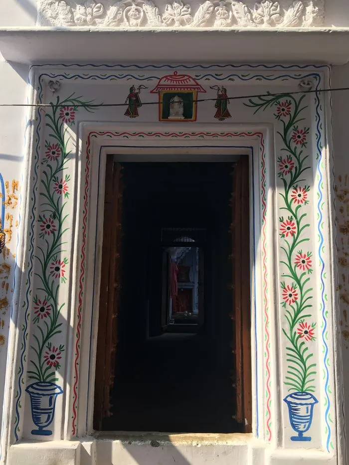 I Took Photos Of Random Doors During My Trip To India