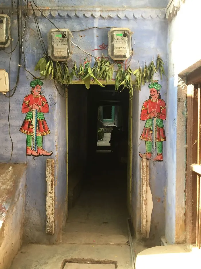 I Took Photos Of Random Doors During My Trip To India
