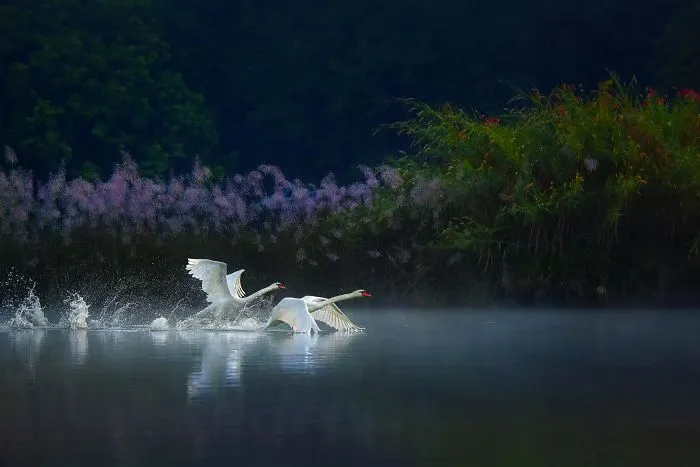 Let's Fly Together
