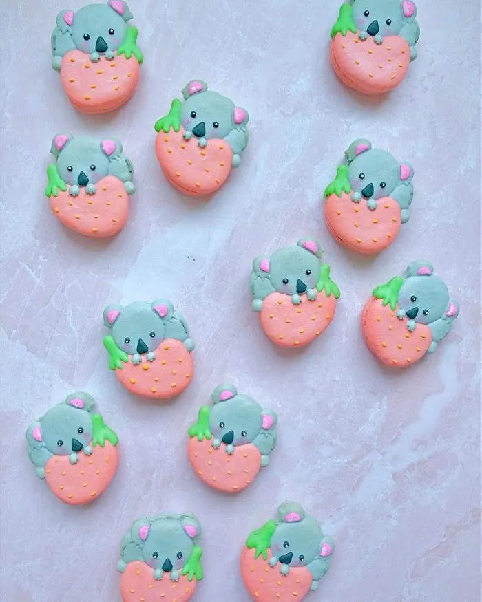 The Best 63 Macarons That I've Baked Throughout The Year