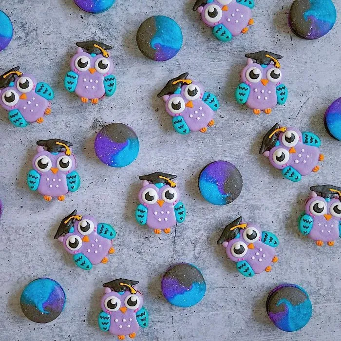 The Best 63 Macarons That I've Baked Throughout The Year