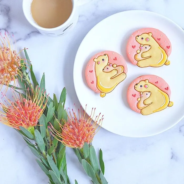 The Best 63 Macarons That I've Baked Throughout The Year