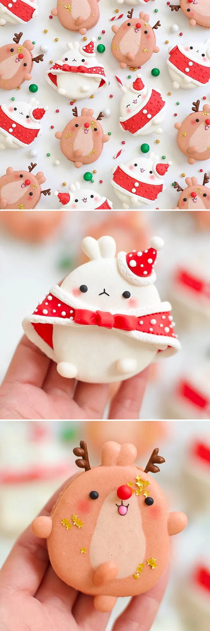 The Best 63 Macarons That I've Baked Throughout The Year