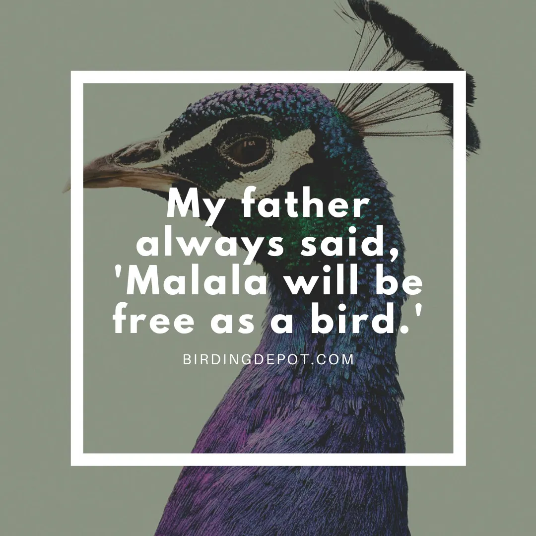 My Father Always Said
