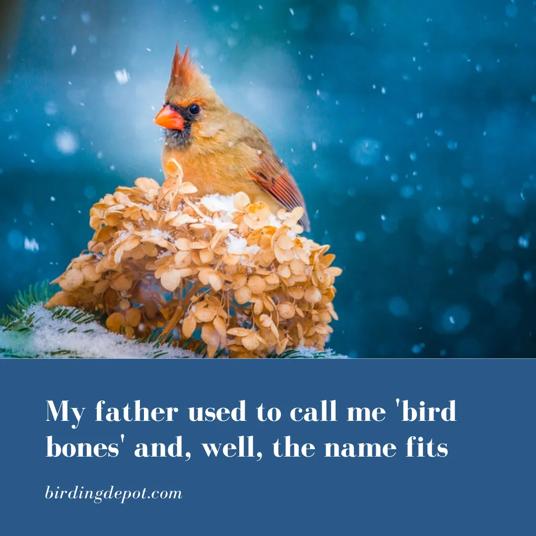 My Father Used To Call Me 'Bird Bones' And, Well, The Name Fits