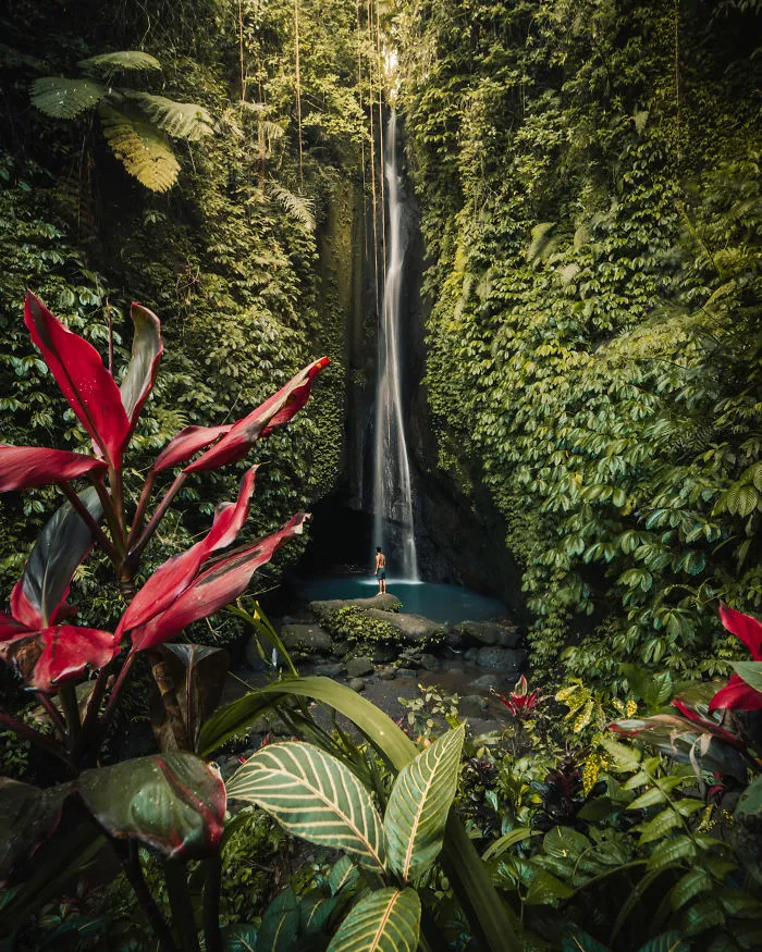 Nature