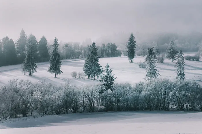 I've Got Lost In The Winter Wonderland And Captured These Photographs (14 Pics)