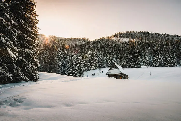 I've Got Lost In The Winter Wonderland And Captured These Photographs (14 Pics)