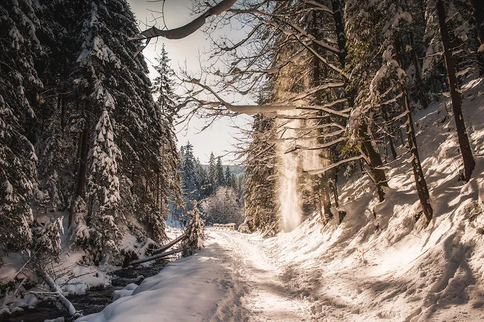 I've Got Lost In The Winter Wonderland And Captured These Photographs (14 Pics)