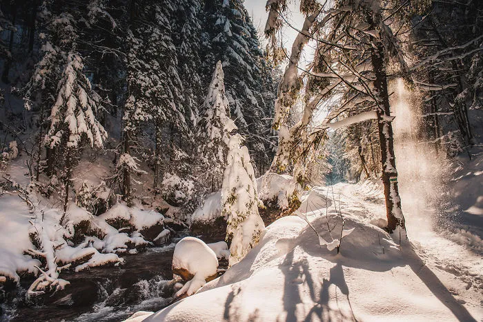 I've Got Lost In The Winter Wonderland And Captured These Photographs (14 Pics)