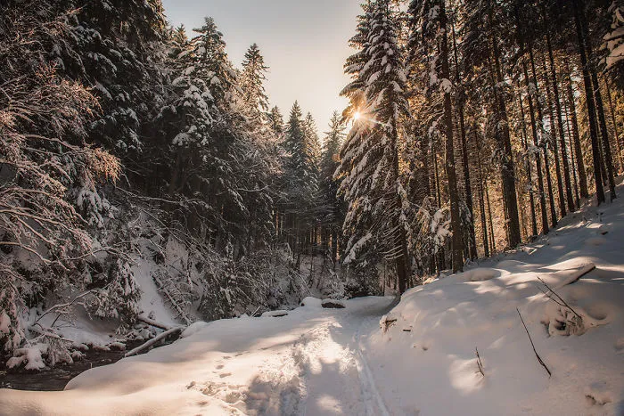I've Got Lost In The Winter Wonderland And Captured These Photographs (14 Pics)